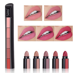 Fab 5 Steps Pop-Up Pen Style stick - 5 in 1 Moisturizing Matte Finish